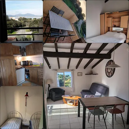 Acces Piscine Collective Corse Du Sud