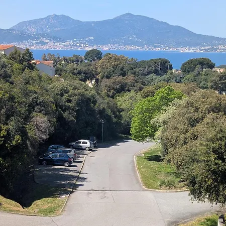 Acces Piscine Collective Corse Du Sud